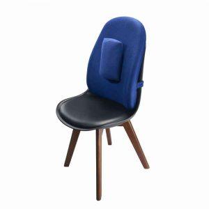 Vissco Orthopaedic Back Support - AeonCare
