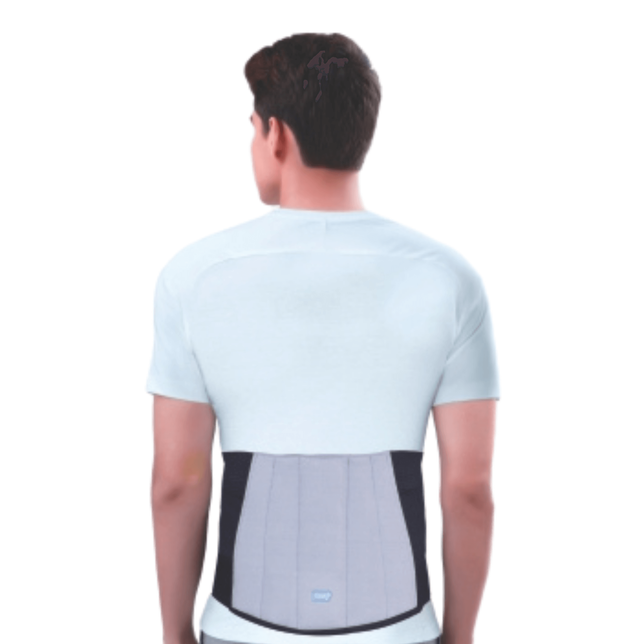 Dyna Back Pain Belt Back Support Belt