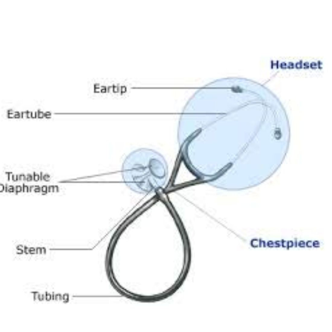 Microtone Stethoscope - PAEDIATRIC