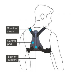 Vissco Clavicle brace with shoulder sleeve